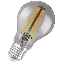 Online Ampoule Led E27 Connectee / Smart+ Verre Gris / Filaments Standard - 6W = 60W / Bluetooth - Variable - Unisexe Ampoules Et Accessoires
