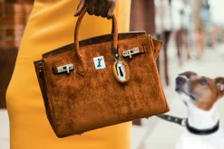 Shop Distributeur De Sacs A Dejection Canine Acino Metal / - Unisexe Chiens Chats Cie