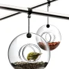 Sale Mangeoire A Oiseaux   - Unisexe Déco Et Accessoires De Jardin