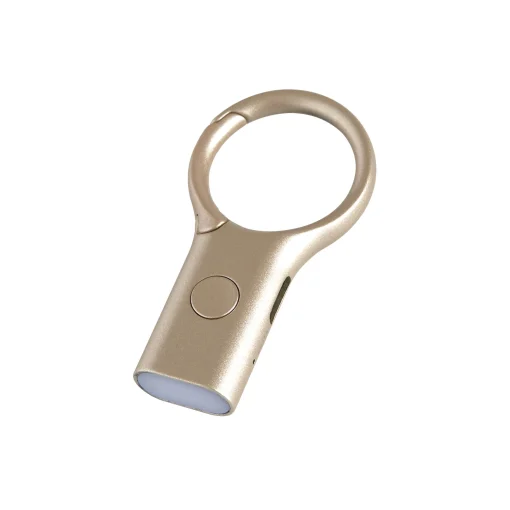Shop Porte-Cles Nomaday Light Or Metal / Mini Torche Led - Recharge Usb - Unisexe Objets Connectes Accessoires High Tech