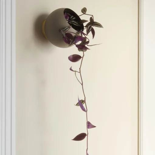 New Pot De Fleurs Mural Globe Large Metal Beige / O 21 Cm - Metal - Unisexe Pots Et Plantes