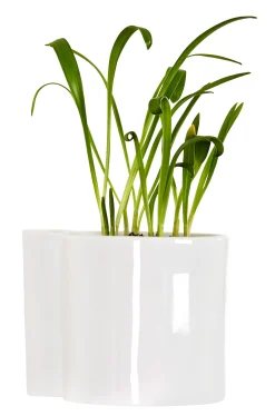 New Pot De Fleurs Mural Hover Ceramique/ Porcelaine - O 12 Cm - Unisexe Pots Et Plantes