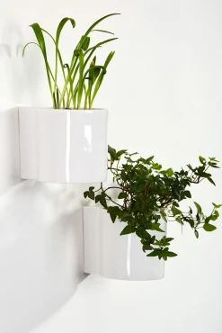 New Pot De Fleurs Mural Hover Ceramique/ Porcelaine - O 12 Cm - Unisexe Pots Et Plantes