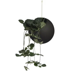 Outlet Pot De Fleurs Suspendu Globe Small Metal/ O 17 Cm - Metal - Unisexe Pots Et Plantes