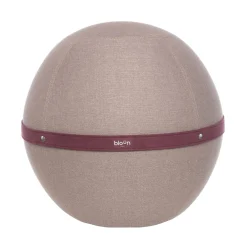 Best Sale Siege Ergonomique Ballon Original Xl Tissu Violet / O 65 Cm - Unisexe Fauteuils De Bureau